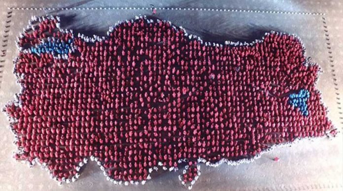 2123-kisiyle-yapilan-en-buyuk-turkiye-haritasi-icin-guinnessa-basvuruldu-ilginc-izle