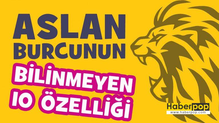 aslan erkegi akrep kadini ask uyumu
