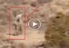 Çölde dolaşan chupacabra görüldü iddiası