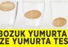 Bozuk ve taze yumurta nasıl anlaşılır: Suyla yumurta tazelik testi