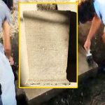 Dünyanın en eski kira sözleşmesi: 2200 yıllık mermer yazıt