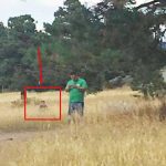 Fotoğrafta sonradan fark edilen gizemli adam