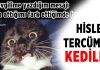 Hislerinize Tercüman Olan Kediler