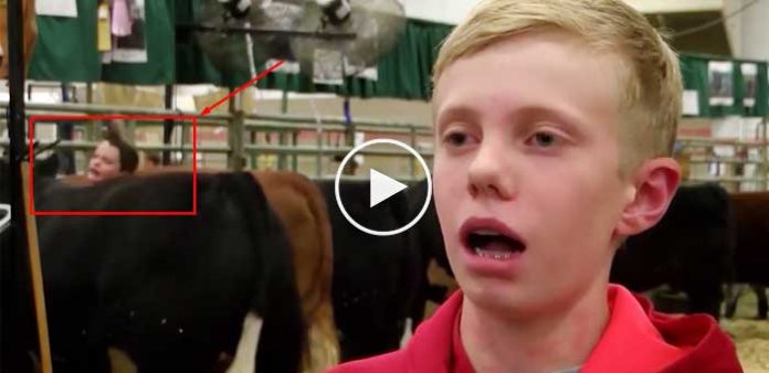 Ineklere-siddet-uygulayan-cocuk-belasini-buldu-video-izle