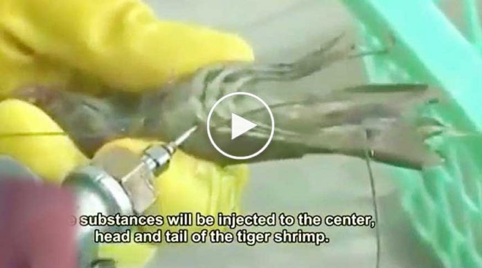 karboksimetil-seluloz-video