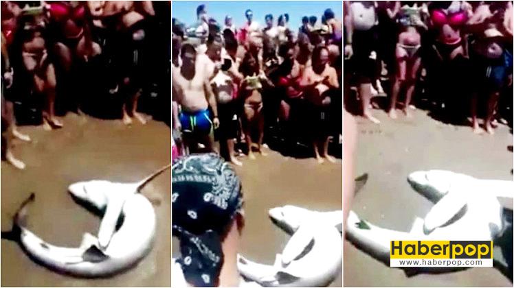 Köpekbalığı-ölmemek-için-can-çekişirken-insanlar-selfie-çekti