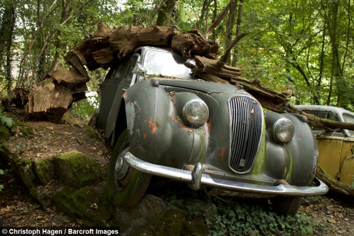 milyon-dolarlik-araba-mezarligi-09-haberpop