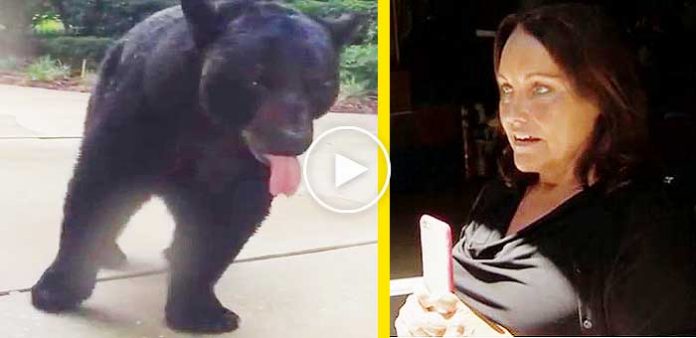 Telefonundan-kafasını-kaldıran-kadın-ayı-ile-göz-göze-geldi-videosu-izle-ilginç-haberler