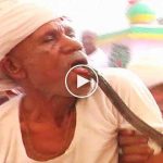 Uyuşturucu etkisi yaptığı için kobraya dilini sokturan adam