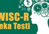 Wisc-r Zeka Testi: Çocuğunuz Üstün Zekalı mı? Ücretsiz IQ Testi Wisc-r Zeka Testi Nedir Kimler Uygulayabilir?-Wisc-r Nasıl Yapılır?