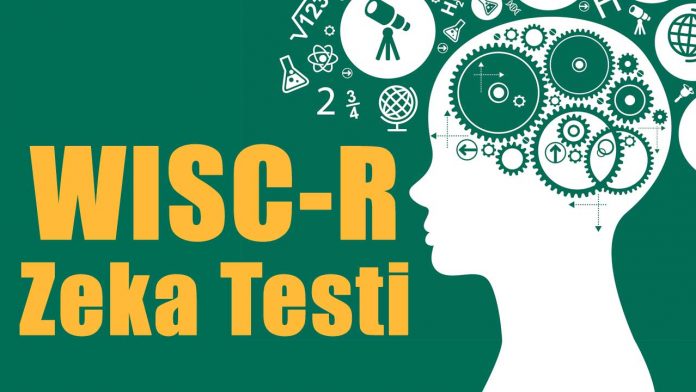 Cocuklar Icin Ornek Wisc R Zeka Testi Sorulari Kendinle Ilgilen