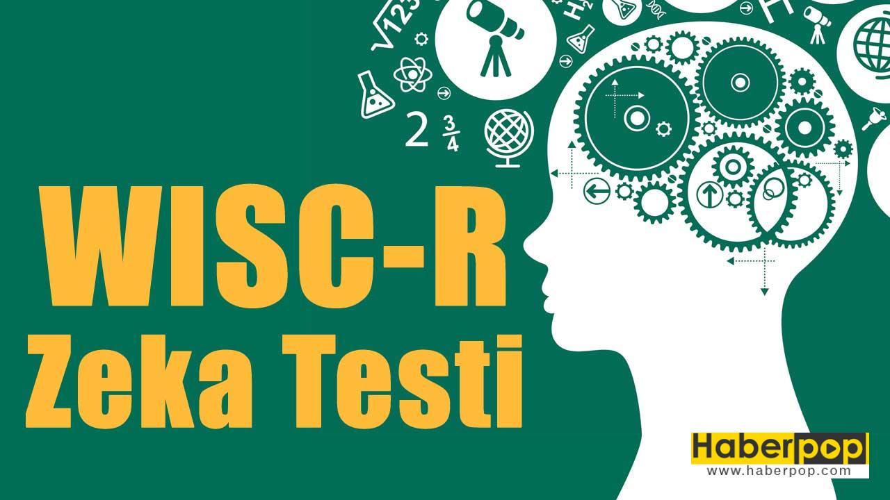 Wisc R Zeka Testi Cocugunuz Ustun Zekali Mi Ucretsiz Iq Testi Haberpop