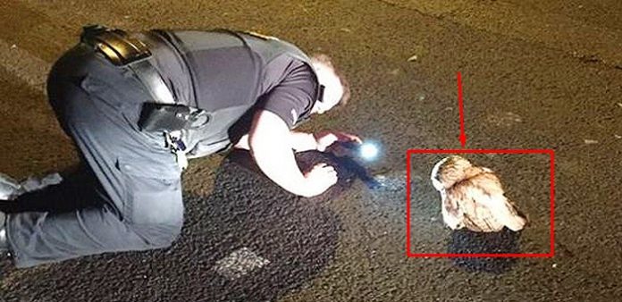 asi baykus polise karsi gelince neredeyse tutuklaniyordu haberi