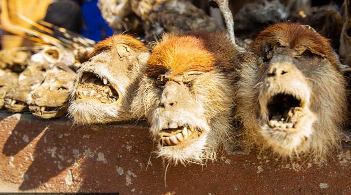 buyuculuk-ve-buyu-pazari