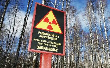 Çernobil’in radyasyonlu ağaçları insanlara mı satılıyor?