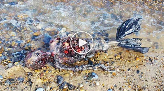 denizkizi-goruntulendi-videosu-ile