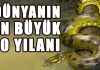 Dünyanın En Büyük 10 Yılanı