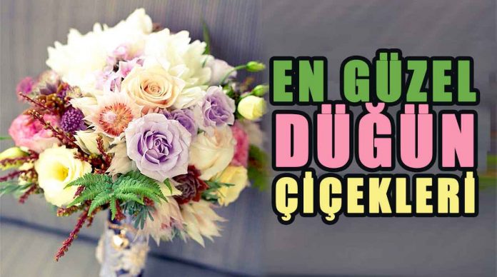 dunyanin-en-guzel-dugun-gelin-cicegi,-gelin-buketi-guzel-kokan-cicek-isimleri-anlamlari-haberpop Dünyanın En Güzel Kokan Yaz Düğün Çiçekleri, İsimleri ve Anlamları