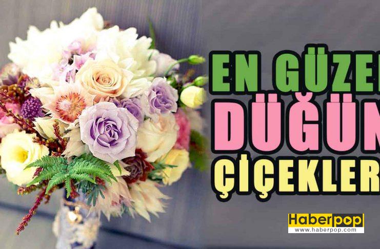 Dünyanın En Güzel Kokan Yaz Düğün Çiçekleri, İsimleri ve Anlamları