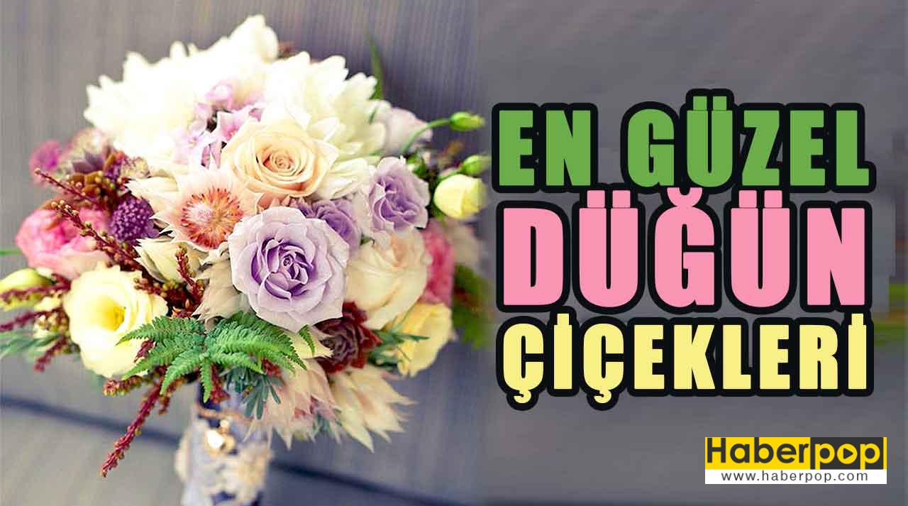 En Guzel Yaz Dugunu Cicekleri Isimleri Ve Anlamlari Haberpop