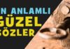 Ünlü Sözler 2021| Ünlülerden En Güzel Sözler (Sevgiliye, Akrabaya, Aldatan ve Arkadaşa)