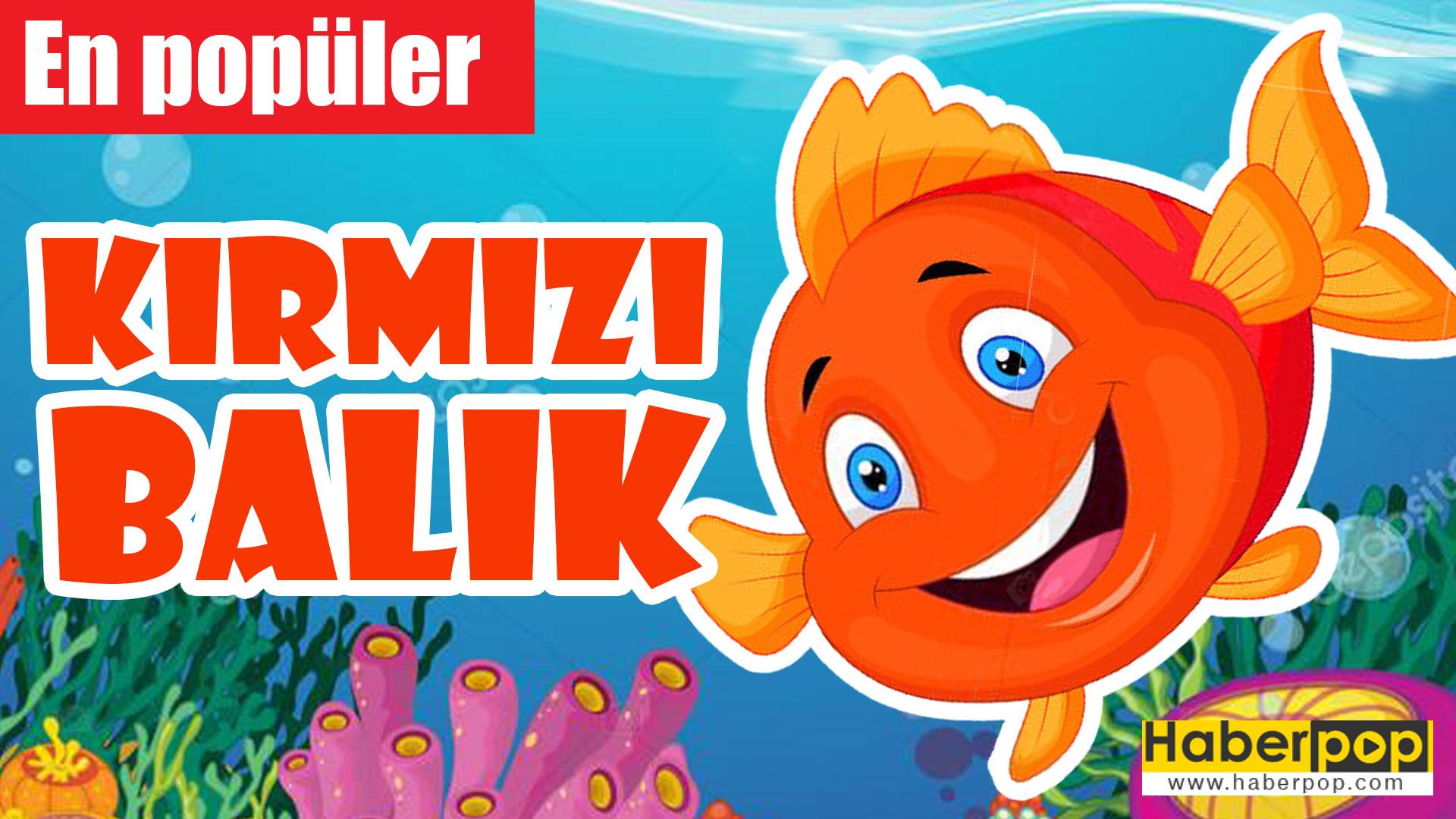 kirmizi balik golde sarkisi sozleri ve notalari indir haberpop