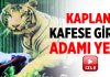 Kaplan adamı canlı canlı yedi