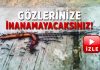 Karıncaların bu yaptığına inanamayacaksınız!