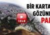 Kartalın gözünden Paris büyüledi