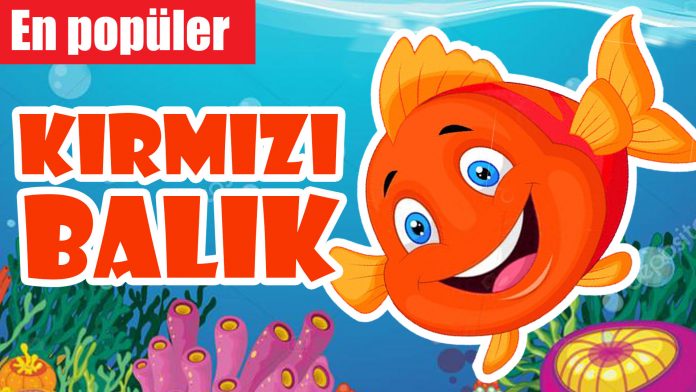 kirmizi-balik-kac-kac-sarkisi-sozleri-notalari-dinle-izle-indir Kırmızı balık gölde şarkısı sözleri notaları