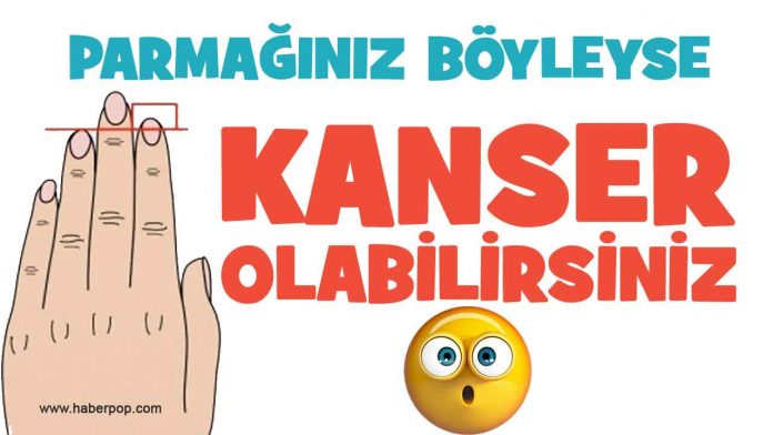 parmaginizin-boyu-boyleyse-kanser-olabilirsiniz-yuz-sekliniz-ve-parmak-boylari-ve-anlamlari-ne-demek-hangi-hastalik-demek-haberpop parmaginizin boyu boyleyse kanser olabilirsiniz-yuz sekliniz ve parmak boylari ve anlamlari ne demek-hangi hastalik demek-haberpop