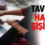 Tavuklar hava basılarak büyütülüyor