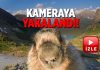 Dağ sıçanı Greenpeace çekimini sabote etti!