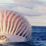 Bilinmeyen deniz canlısı balıkçıları dehşete düşürdü