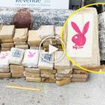 Sahile vuran torpidonun içinden kokain çıktı